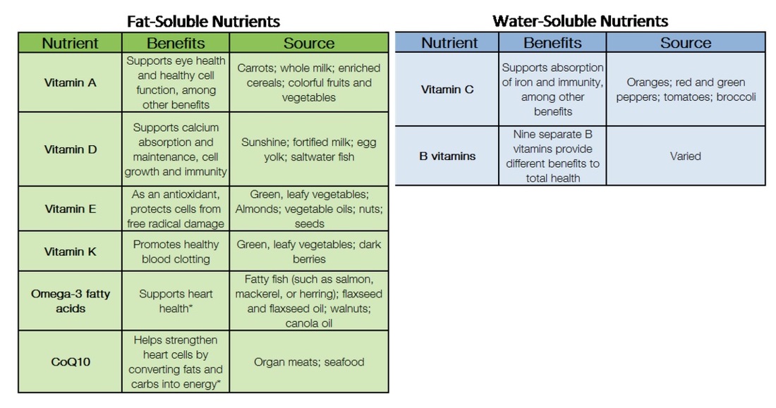 Image result for human nutrients, vitamins